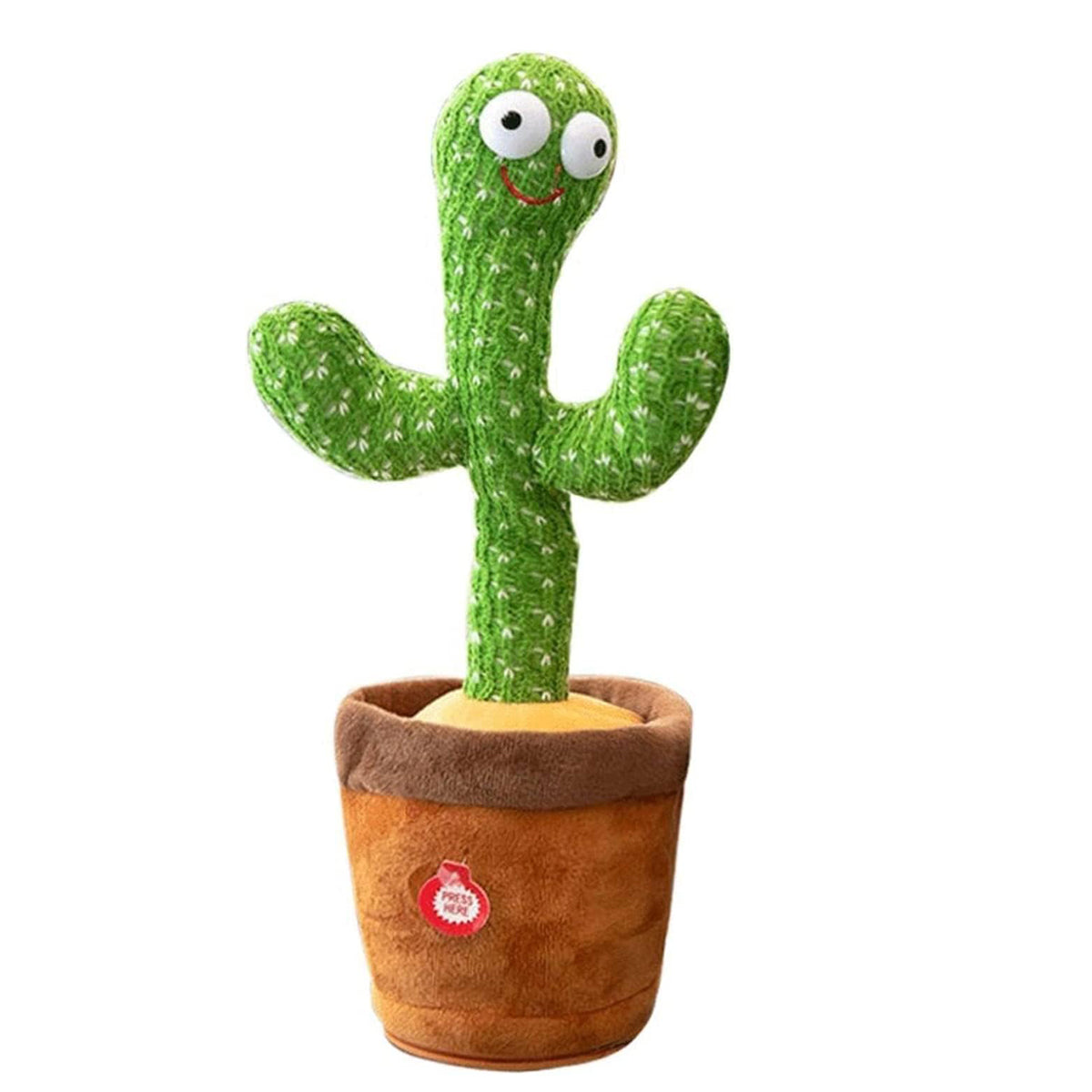 Cactus Interactivo