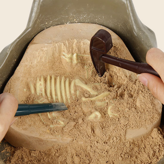Kit de excavación Tiranosaurio Rex